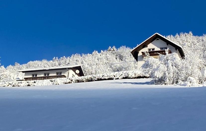 Nocky Mountains Lodge And Apartment ラーデンタイン エクステリア 写真
