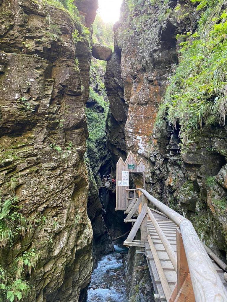 Nocky Mountains Lodge And Apartment ラーデンタイン エクステリア 写真