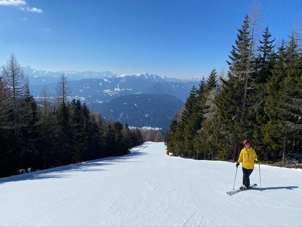 Nocky Mountains Lodge And Apartment ラーデンタイン エクステリア 写真