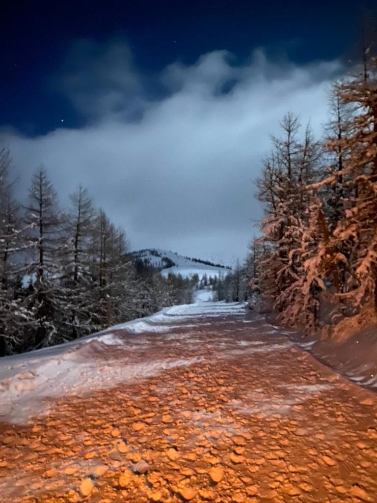 Nocky Mountains Lodge And Apartment ラーデンタイン エクステリア 写真